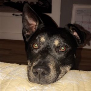 Meet your Posher, Hannah